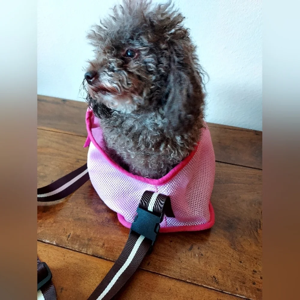 Pink pet carrier